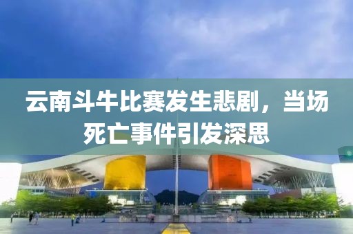 云南斗牛比赛发生悲剧，当场死亡事件引发深思