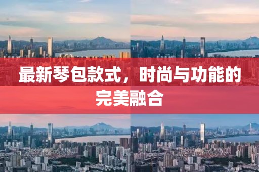 最新琴包款式，时尚与功能的完美融合