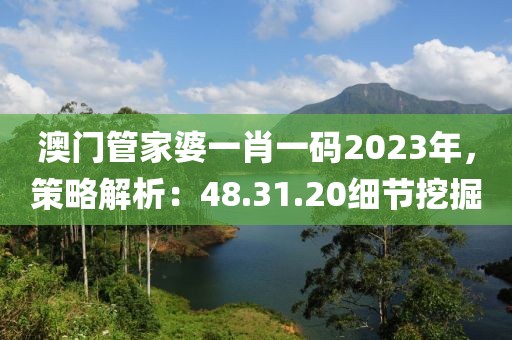 澳门管家婆一肖一码2023年，策略解析：48.31.20细节挖掘