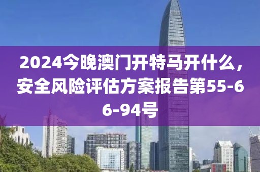 2024今晚澳门开特马开什么，安全风险评估方案报告第55-66-94号