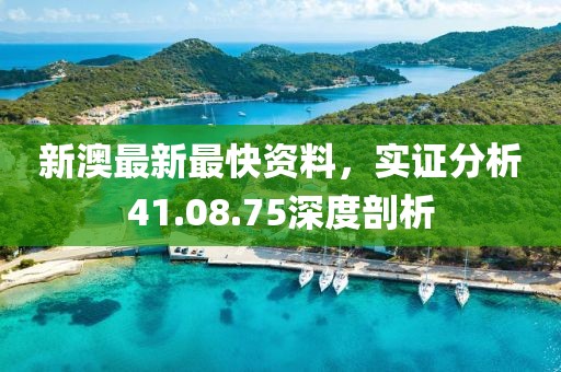 新澳最新最快资料，实证分析41.08.75深度剖析