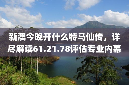 新澳今晚开什么特马仙传，详尽解读61.21.78评估专业内幕