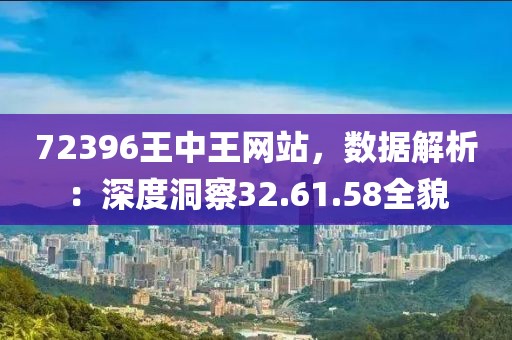 72396王中王网站，数据解析：深度洞察32.61.58全貌