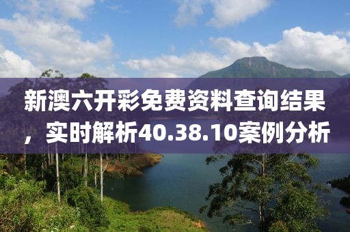 新澳六开彩免费资料查询结果，实时解析40.38.10案例分析