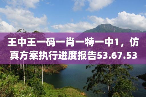 王中王一码一肖一特一中1，仿真方案执行进度报告53.67.53