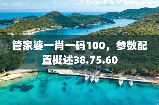 管家婆一肖一码100，参数配置概述38.75.60