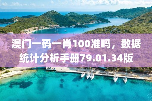 澳门一码一肖100准吗，数据统计分析手册79.01.34版
