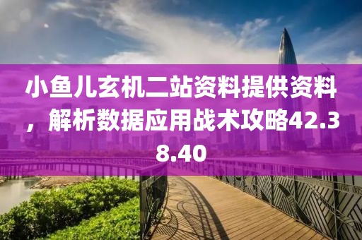 小鱼儿玄机二站资料提供资料，解析数据应用战术攻略42.38.40