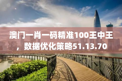 澳门一肖一码精准100王中王，数据优化策略51.13.70