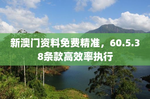 新澳门资料免费精准，60.5.38条款高效率执行