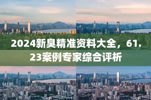 2024新臭精准资料大全，61.23案例专家综合评析
