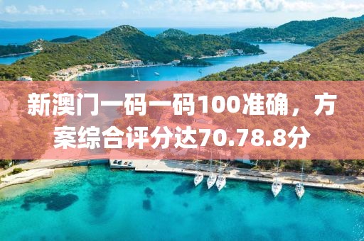 新澳门一码一码100准确，方案综合评分达70.78.8分