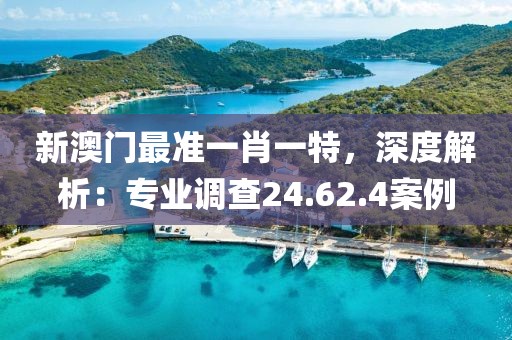 新澳门最准一肖一特，深度解析：专业调查24.62.4案例