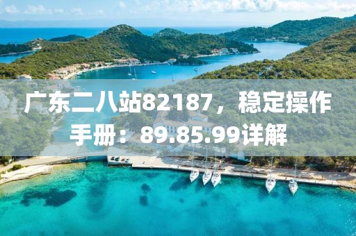 广东二八站82187，稳定操作手册：89.85.99详解