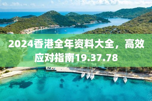 2024香港全年资料大全，高效应对指南19.37.78