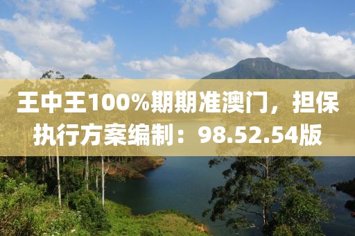 王中王100%期期准澳门，担保执行方案编制：98.52.54版