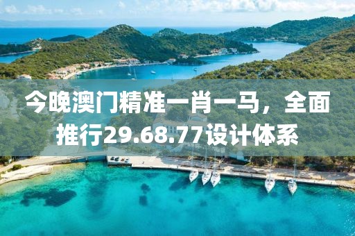 今晚澳门精准一肖一马，全面推行29.68.77设计体系