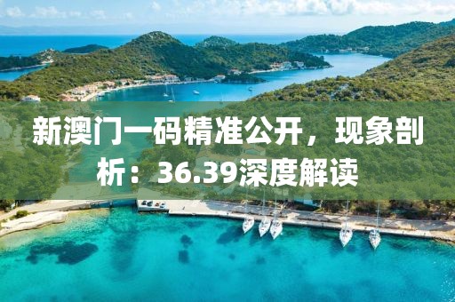 新澳门一码精准公开，现象剖析：36.39深度解读