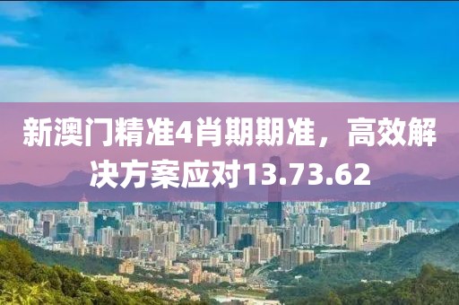 新澳门精准4肖期期准，高效解决方案应对13.73.62
