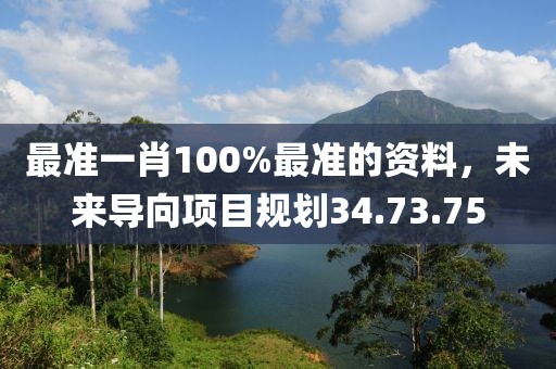 最准一肖100%最准的资料，未来导向项目规划34.73.75