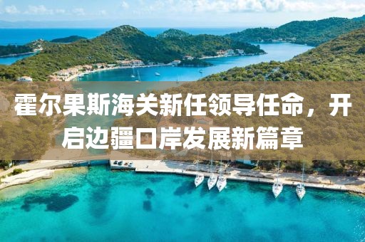 霍尔果斯海关新任领导任命，开启边疆口岸发展新篇章