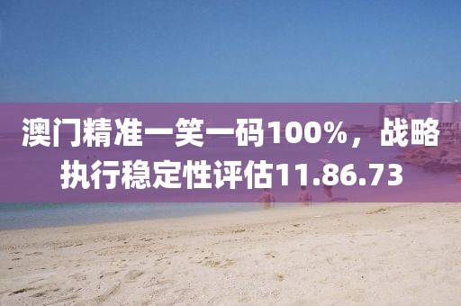 澳门精准一笑一码100%，战略执行稳定性评估11.86.73