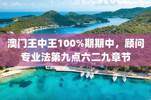 澳门王中王100%期期中，顾问专业法第九点六二九章节