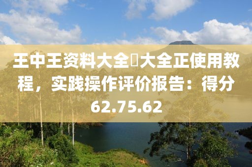 王中王资料大全枓大全正使用教程，实践操作评价报告：得分62.75.62