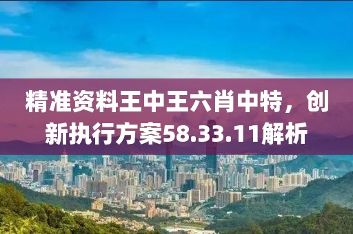 精准资料王中王六肖中特，创新执行方案58.33.11解析