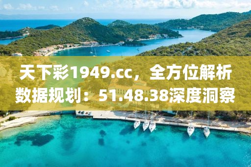 天下彩1949.cc，全方位解析数据规划：51.48.38深度洞察
