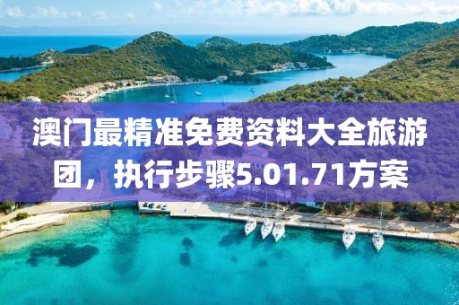 澳门最精准免费资料大全旅游团，执行步骤5.01.71方案