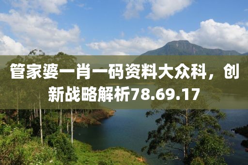 管家婆一肖一码资料大众科，创新战略解析78.69.17