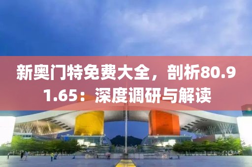 新奥门特免费大全，剖析80.91.65：深度调研与解读