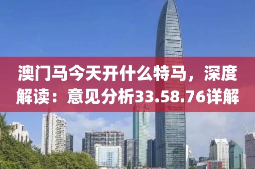 澳门马今天开什么特马，深度解读：意见分析33.58.76详解