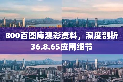 800百图库澳彩资料，深度剖析36.8.65应用细节