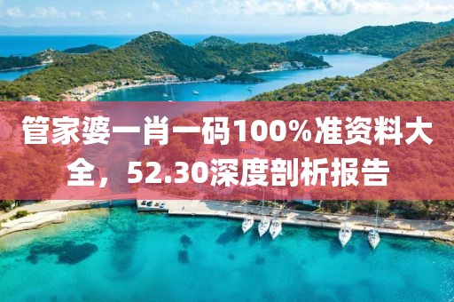 管家婆一肖一码100%准资料大全，52.30深度剖析报告