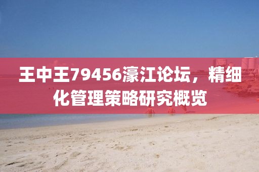 王中王79456濠江论坛，精细化管理策略研究概览