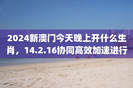 2024新澳门今天晚上开什么生肖，14.2.16协同高效加速进行