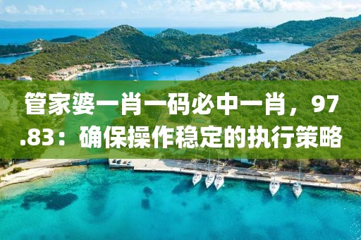 管家婆一肖一码必中一肖，97.83：确保操作稳定的执行策略