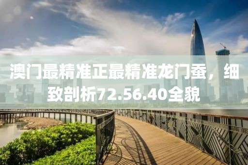 澳门最精准正最精准龙门蚕，细致剖析72.56.40全貌