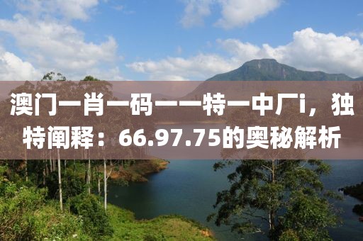 澳门一肖一码一一特一中厂i，独特阐释：66.97.75的奥秘解析
