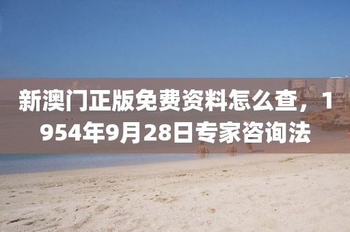 新澳门正版免费资料怎么查，1954年9月28日专家咨询法