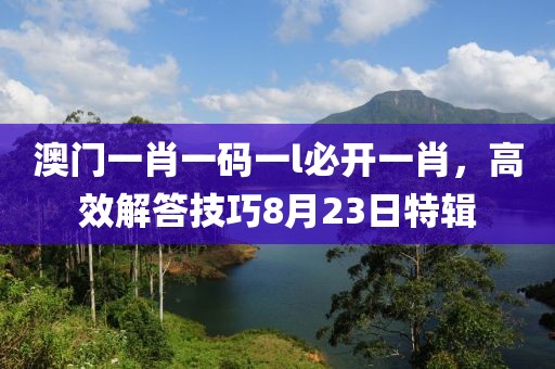 澳门一肖一码一l必开一肖，高效解答技巧8月23日特辑
