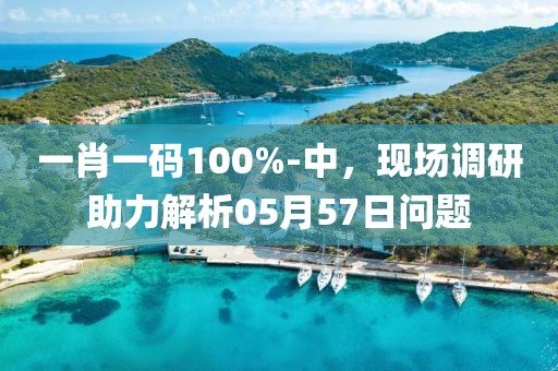 一肖一码100%-中，现场调研助力解析05月57日问题