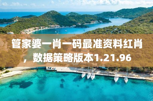 管家婆一肖一码最准资料红肖，数据策略版本1.21.96