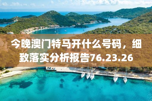 今晚澳门特马开什么号码，细致落实分析报告76.23.26