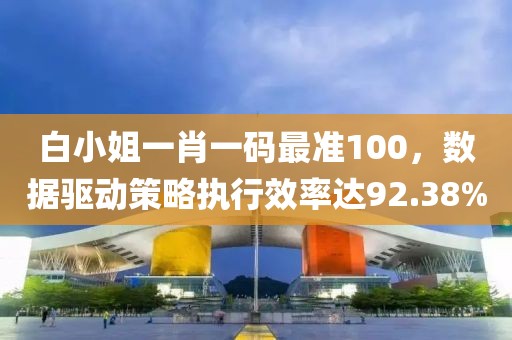 白小姐一肖一码最准100，数据驱动策略执行效率达92.38%