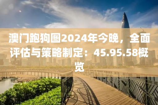 澳门跑狗图2024年今晚，全面评估与策略制定：45.95.58概览
