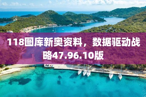 118图库新奥资料，数据驱动战略47.96.10版