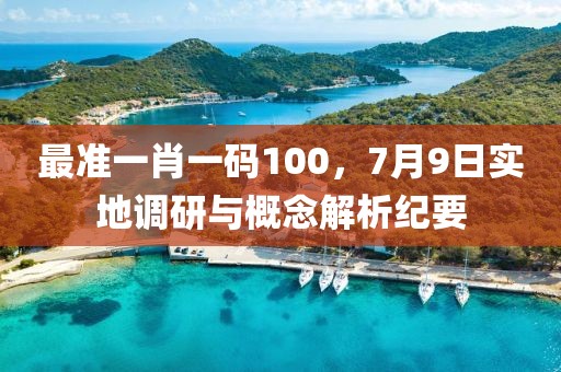 最准一肖一码100，7月9日实地调研与概念解析纪要